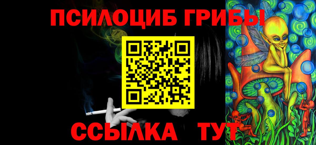 Советск  Галлюциногенные грибы MAGIC MUSHROOMS  Вход с VPN 