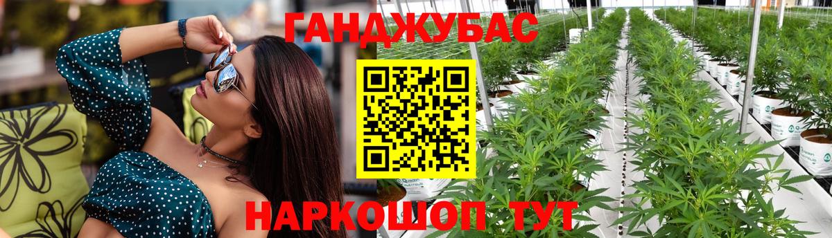 МАРИХУАНА конопля Советск